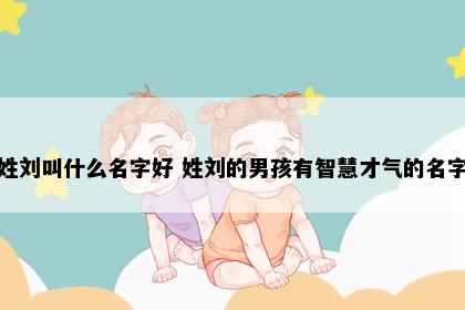 姓刘叫什么名字好 姓刘的男孩有智慧才气的名字